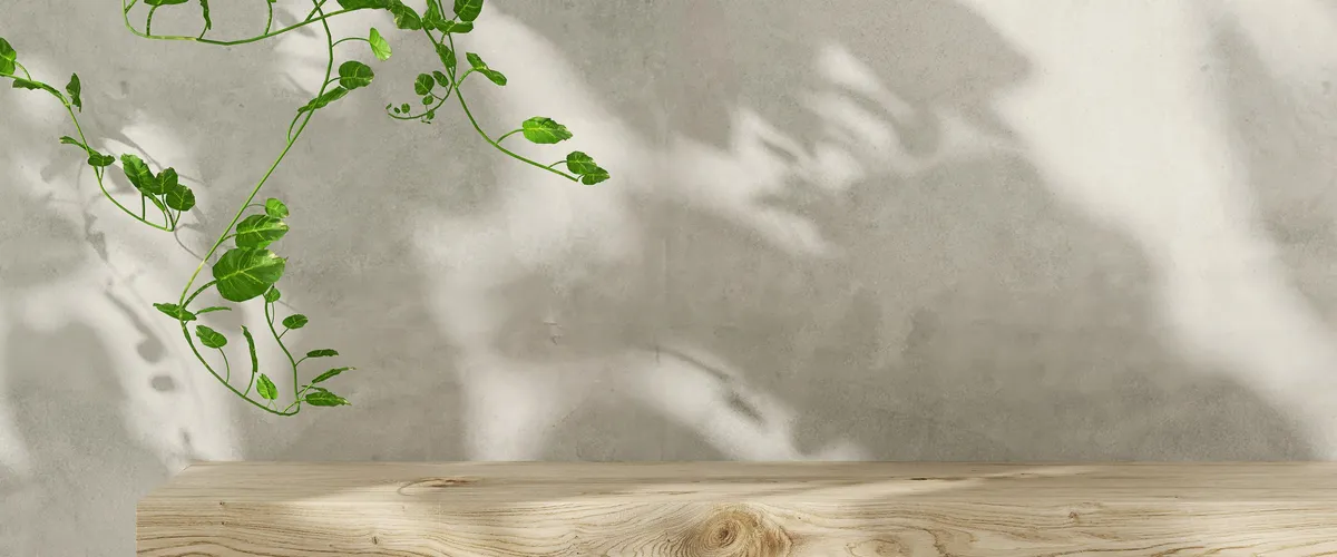 Ambiente claro: pared con sombras de hojas y una rama verde